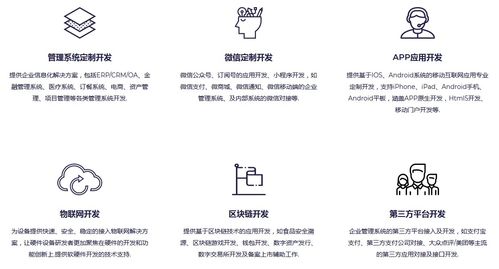 軟件開發外包服務 定義、模式、優勢與選擇指南