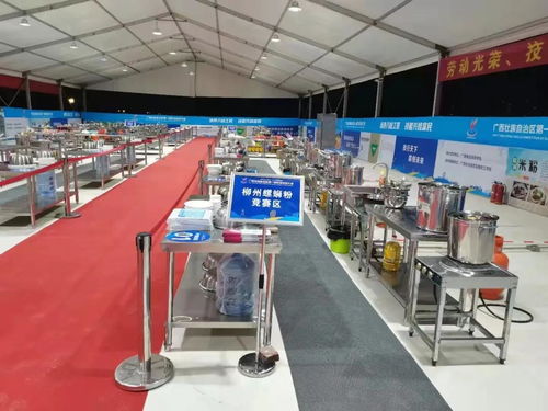 廣西科商助陣首屆職業(yè)技能大賽，信息技術志愿服務獲贊譽